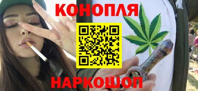сатива Бузулук