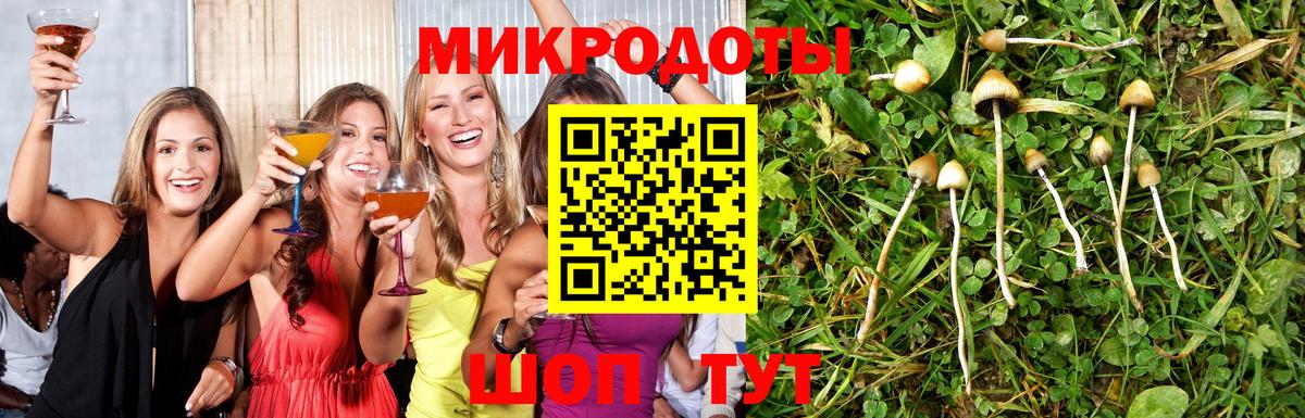 Псилоцибиновые грибы прущие грибы  Галлюциногенные грибы GOLDEN TEACHER  Корсаков  Вход с VPN 